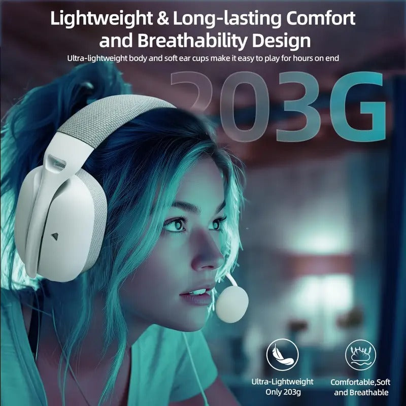 Wireless Gaming Headset with Dual Mic & Type-C Charging