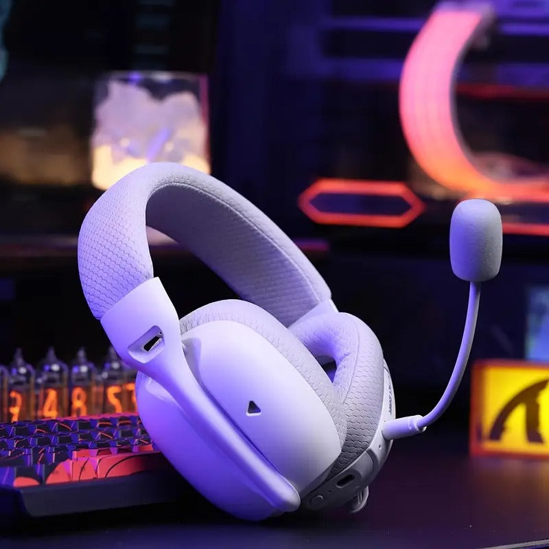 Wireless Gaming Headset with Dual Mic & Type-C Charging