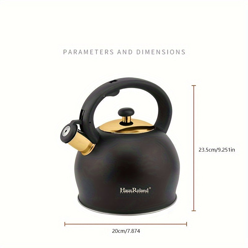 Kettle for Stainless Steel All Stovetops