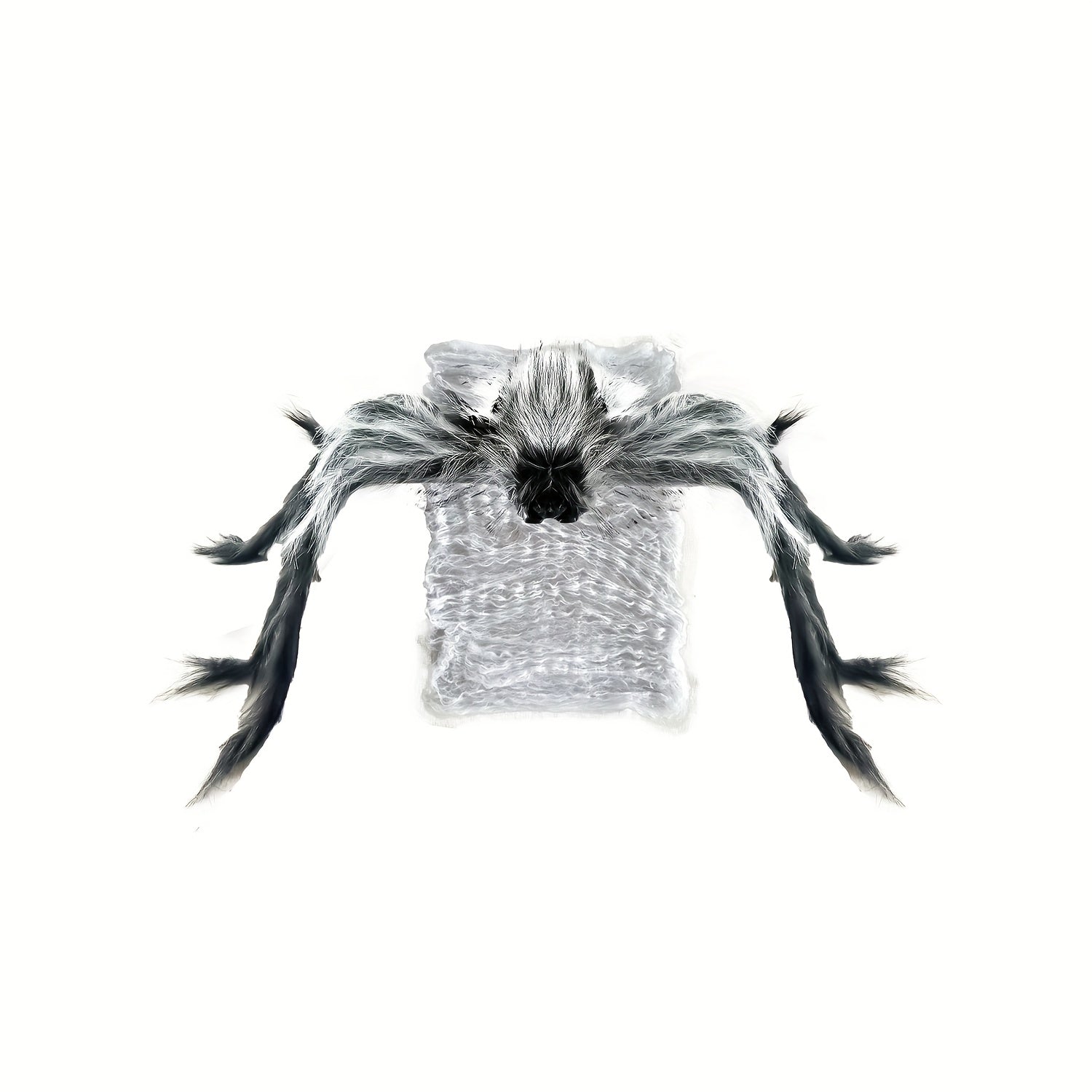 Halloween Jumping Spider with LED and Sound