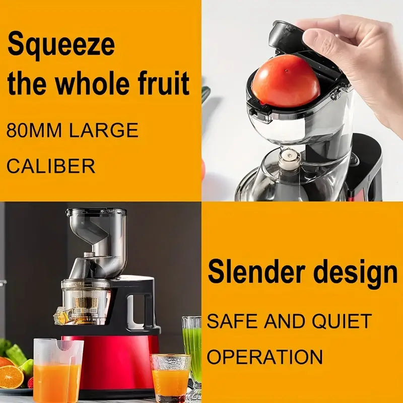 Fruits and Vegetables Slow Juicer