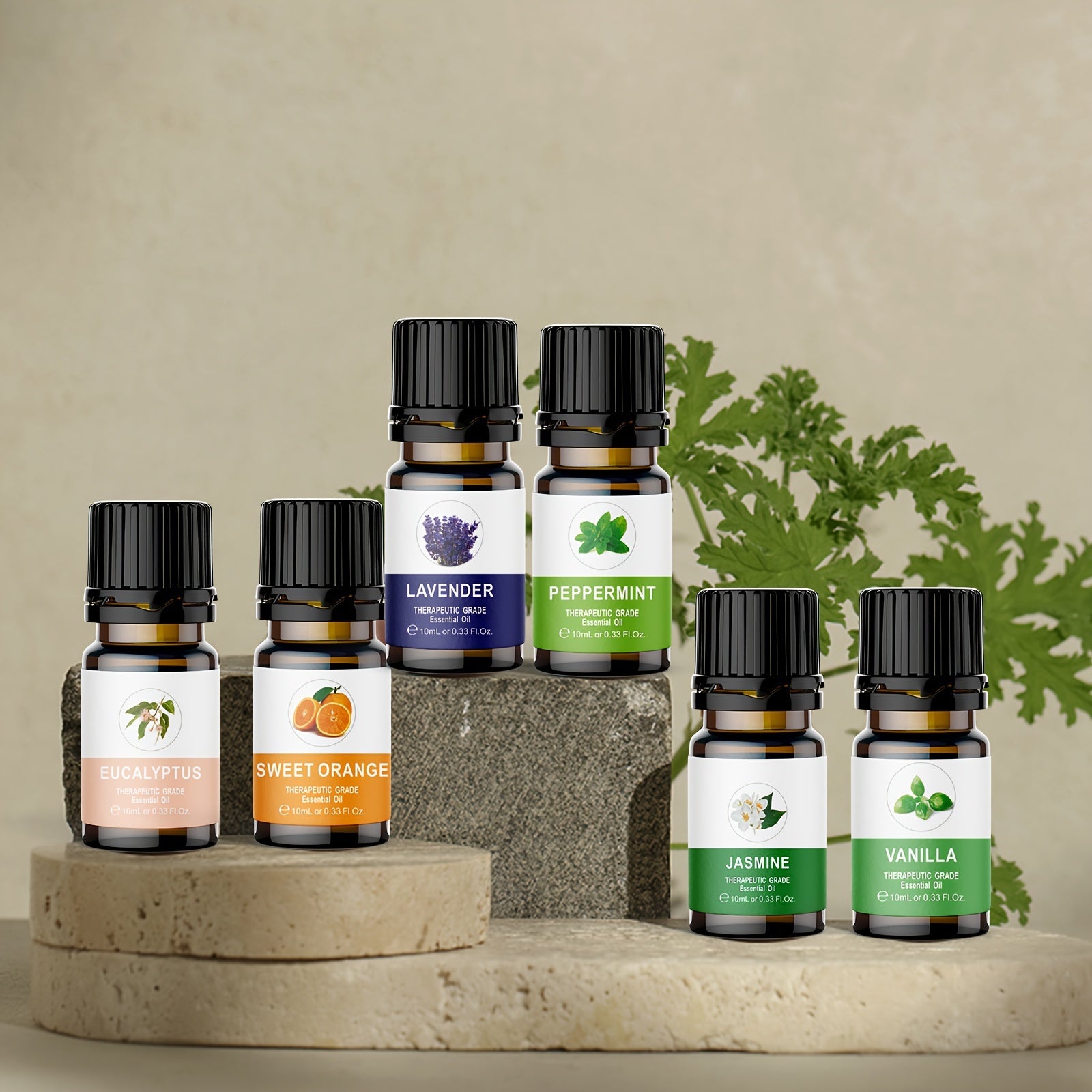 Aromatherapy Glass Bottles Essential Oil Set Of 6