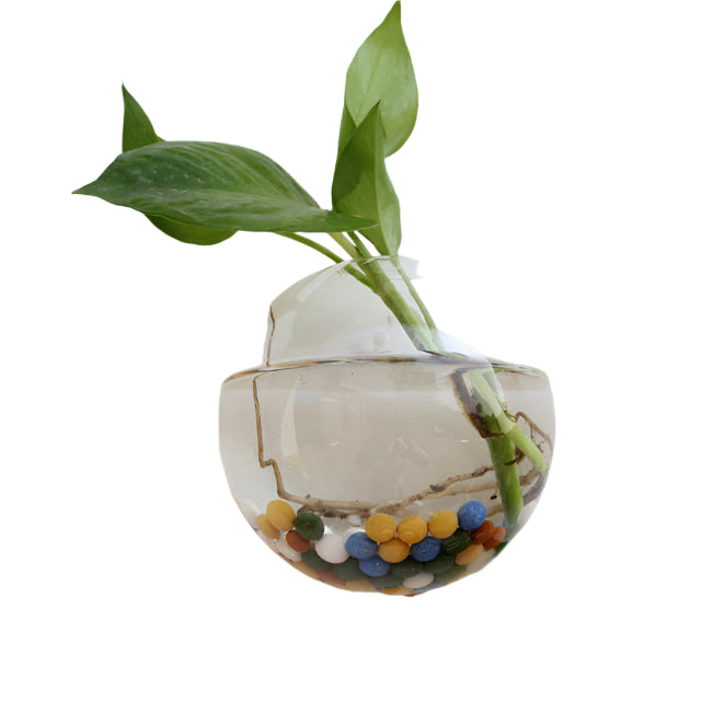 Fashion Wall Hanging Glass Flower Vase Terrarium Wall Fish Tank Aquarium Container Flower Planter Pots Home Garden Decoration