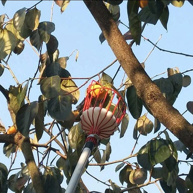 Basket Fruit Picker