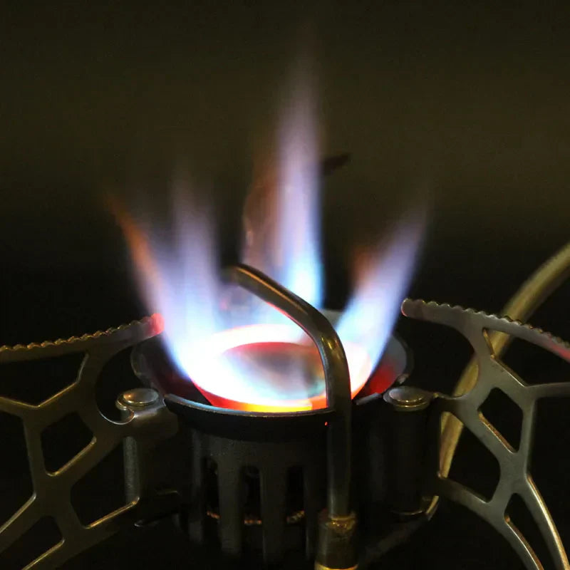 1000ml Dual-Fuel Gasoline Gas Stove Silver