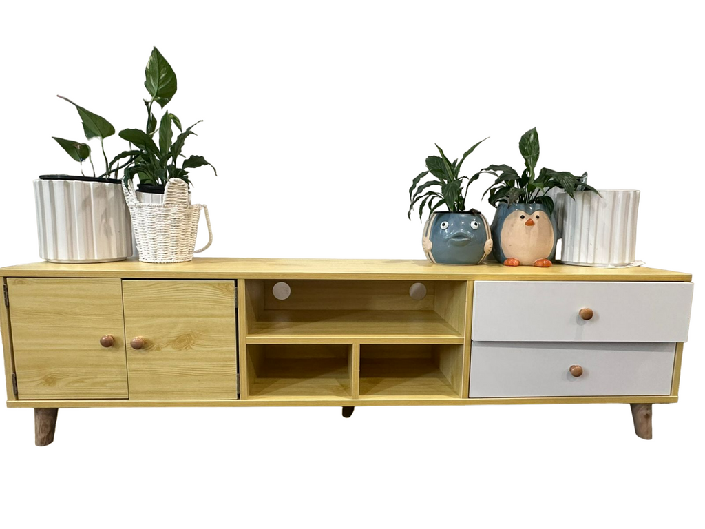 Two-Doors, Two-Drawers Wooden Tv Cabinet