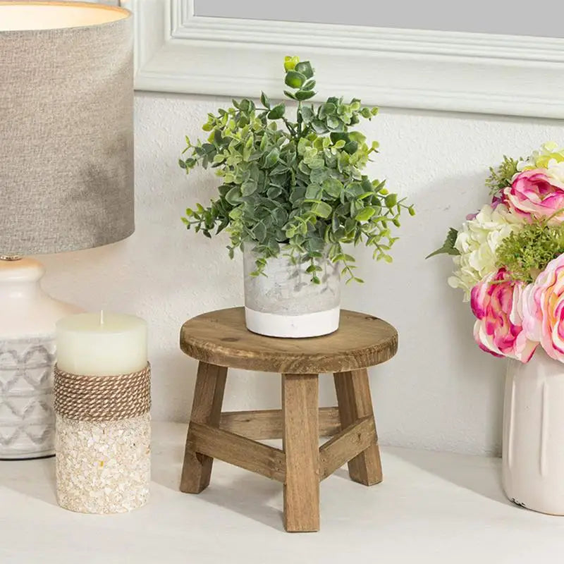 Wooden Stool Plant Stand Mini