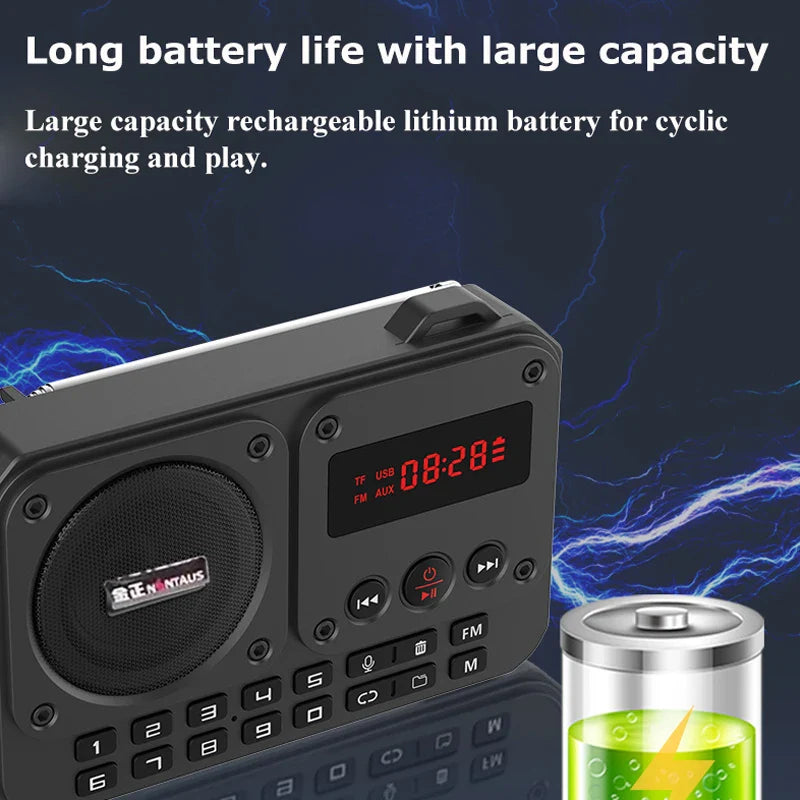 Mini Portable FM Radio Bluetooth Speaker Grey
