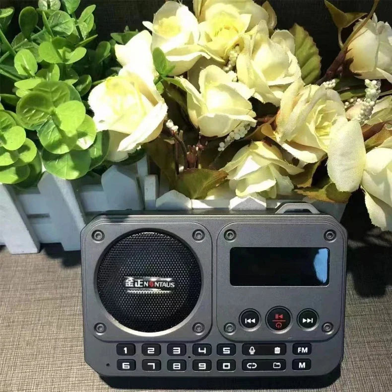 Mini Portable FM Radio Bluetooth Speaker Grey