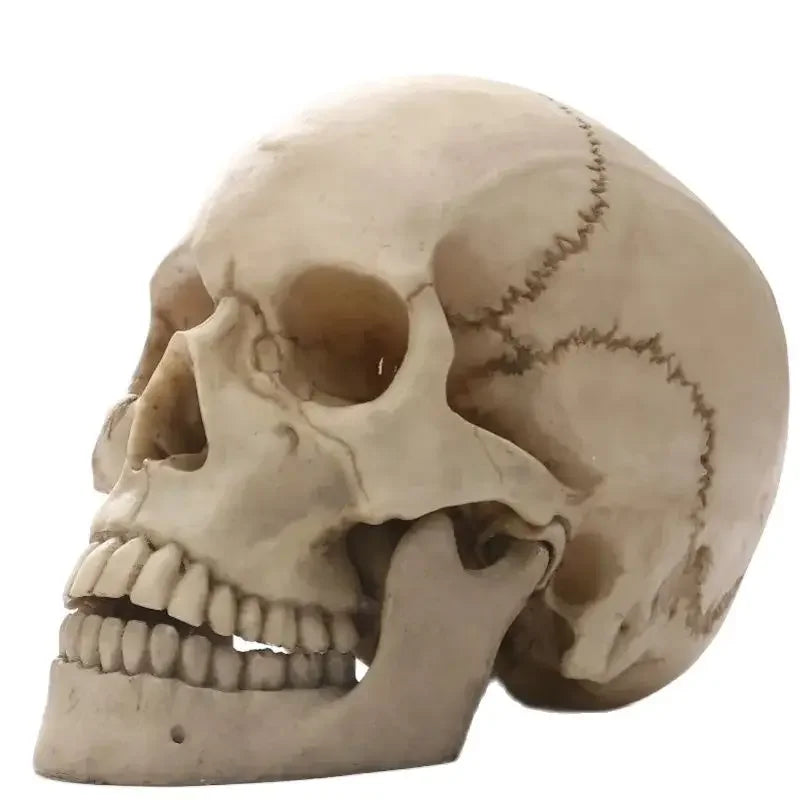 4.85E+13