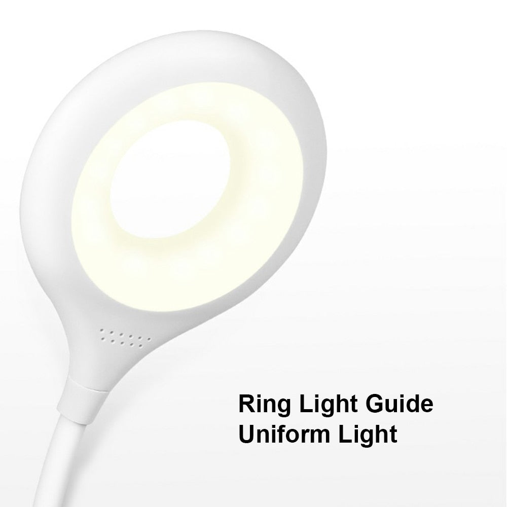 LED Desk Lamp