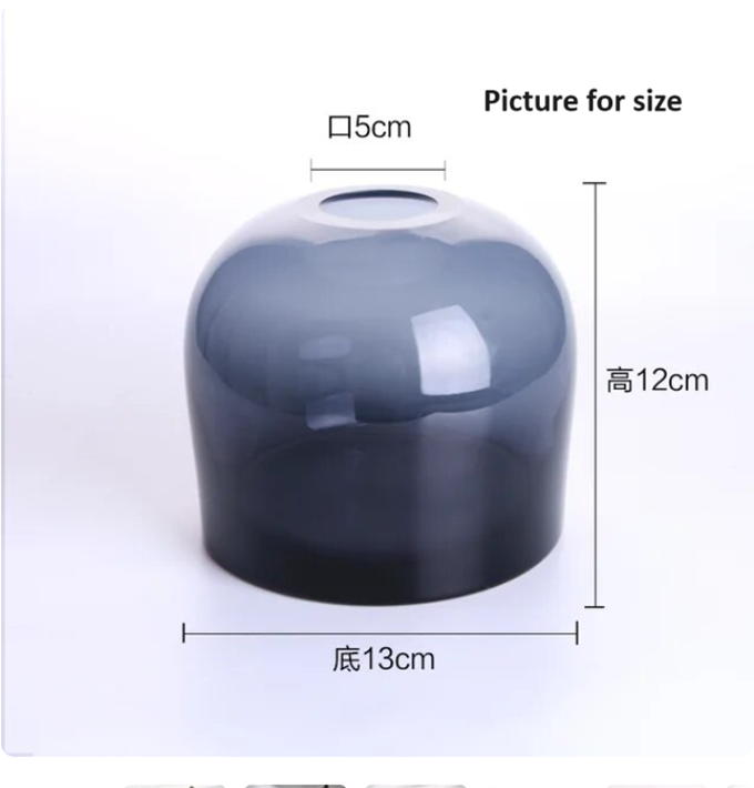 European Elegance: INS Glass Flower Vase for Chic Home Decor