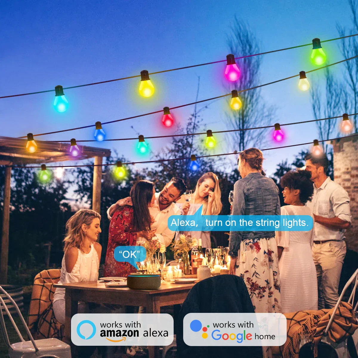 Smart Wifi Led String Lights