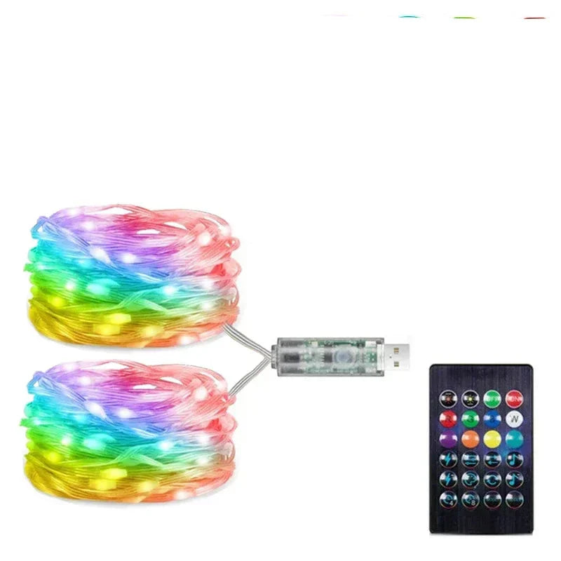 Led Fairy String Light With Remote