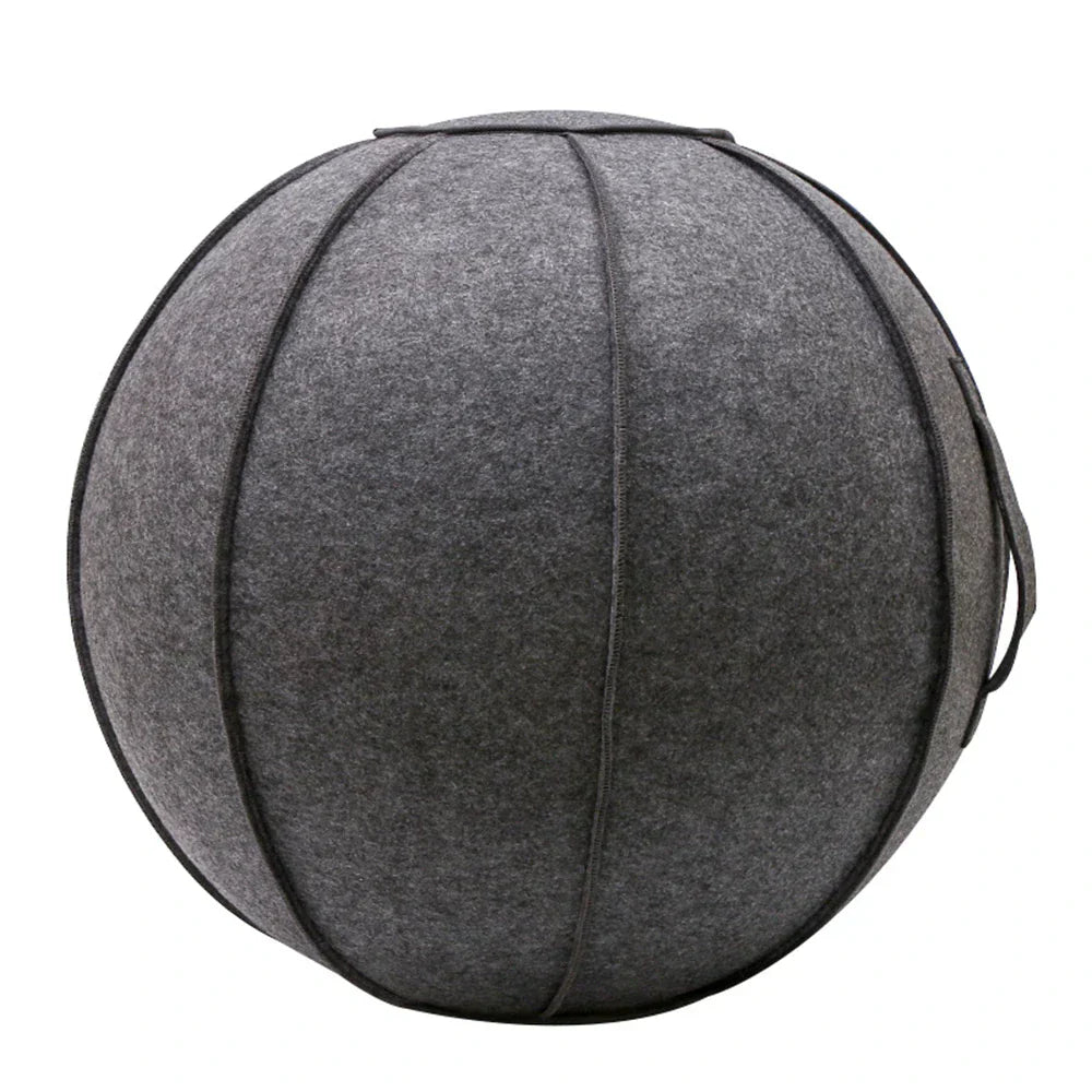 Yoga Ball Cover With Pump & Handle