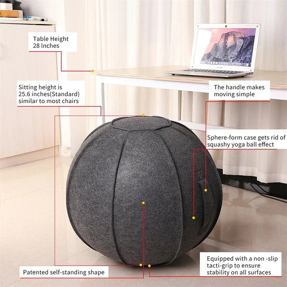 Yoga Ball Cover With Pump & Handle