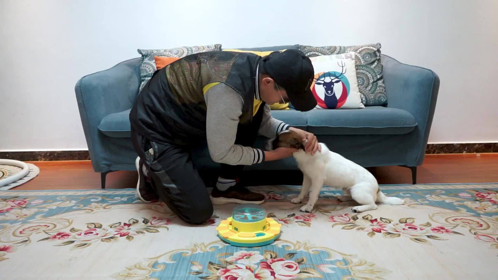 Interactive Dog Puzzle Feeder Toy For Iq Training