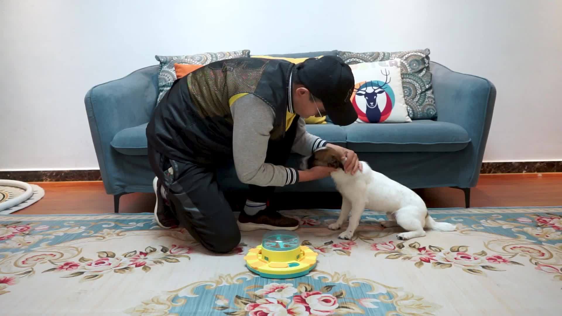 Interactive Dog Puzzle Feeder Toy For Iq Training