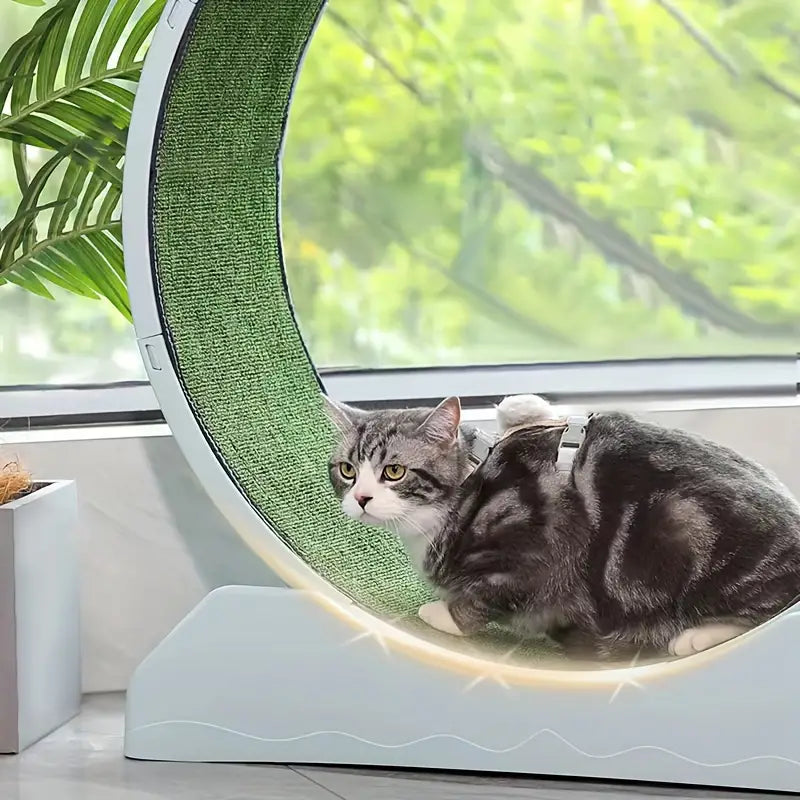 Pet Fitness Wheel - Interactive Treadmill for Cats and Dogs Grey