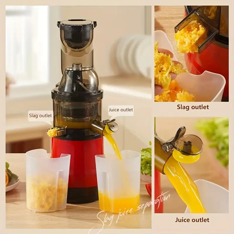 Fruits and Vegetables Slow Juicer