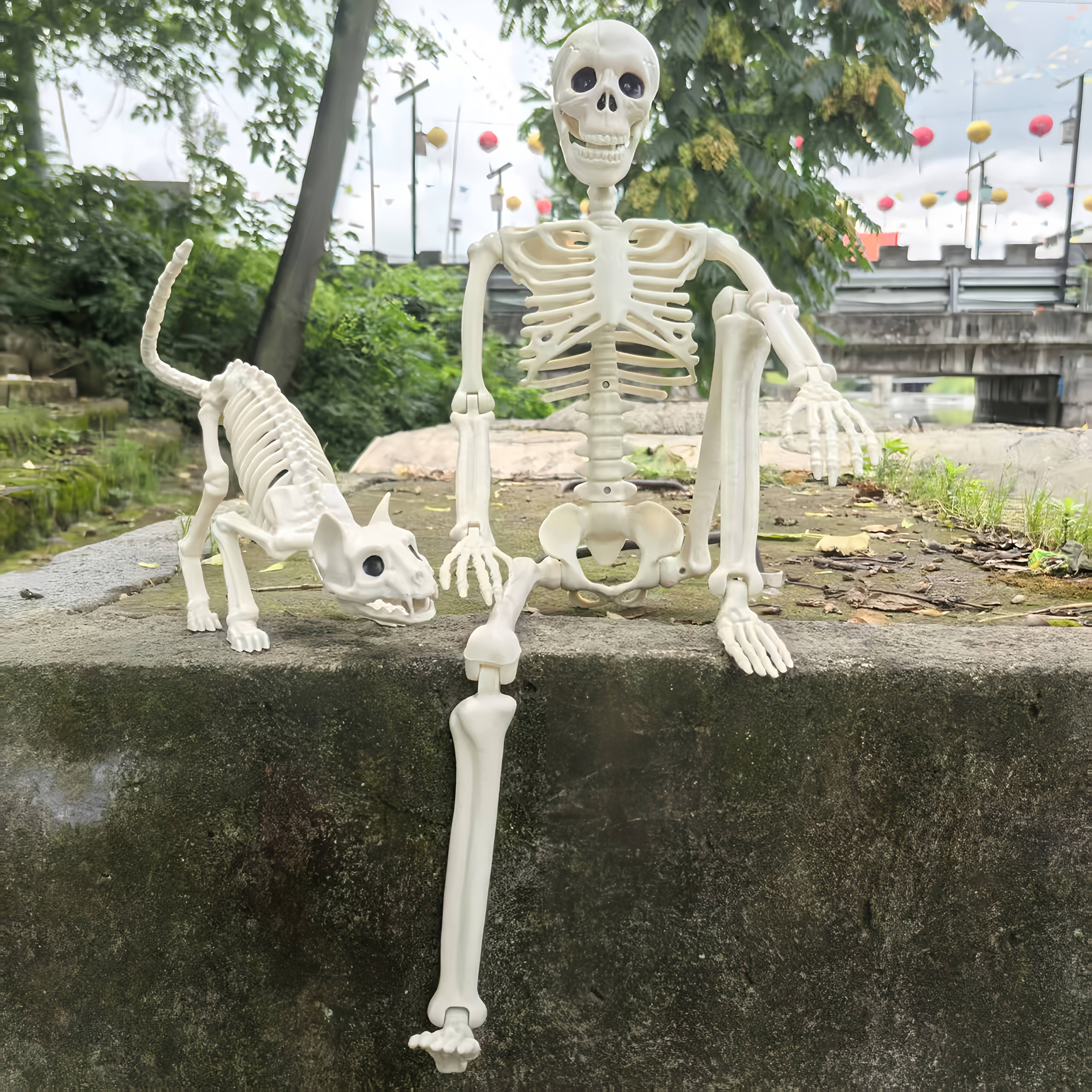 Halloween Skeleton & Cat Decoration Set (2pcs)