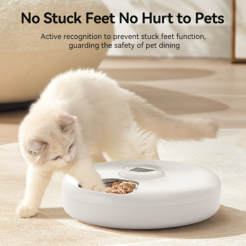 Smart 6-Meal Automatic Cat Feeder Dispenser