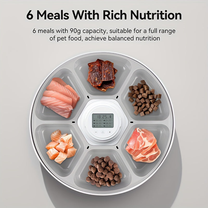 Smart 6-Meal Automatic Cat Feeder Dispenser