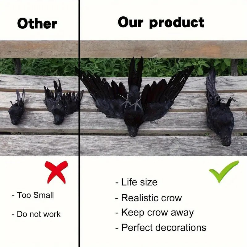 Crow Decorations with Spread Wings (2pcs)