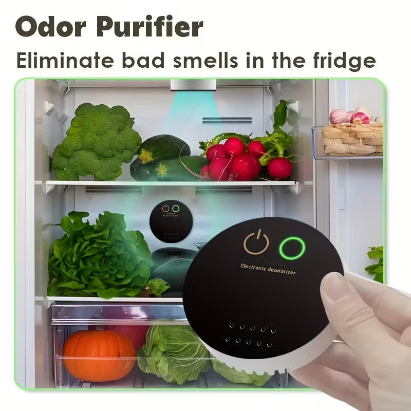 Portable Air Purifier USB Battery Powered Deodorizer
