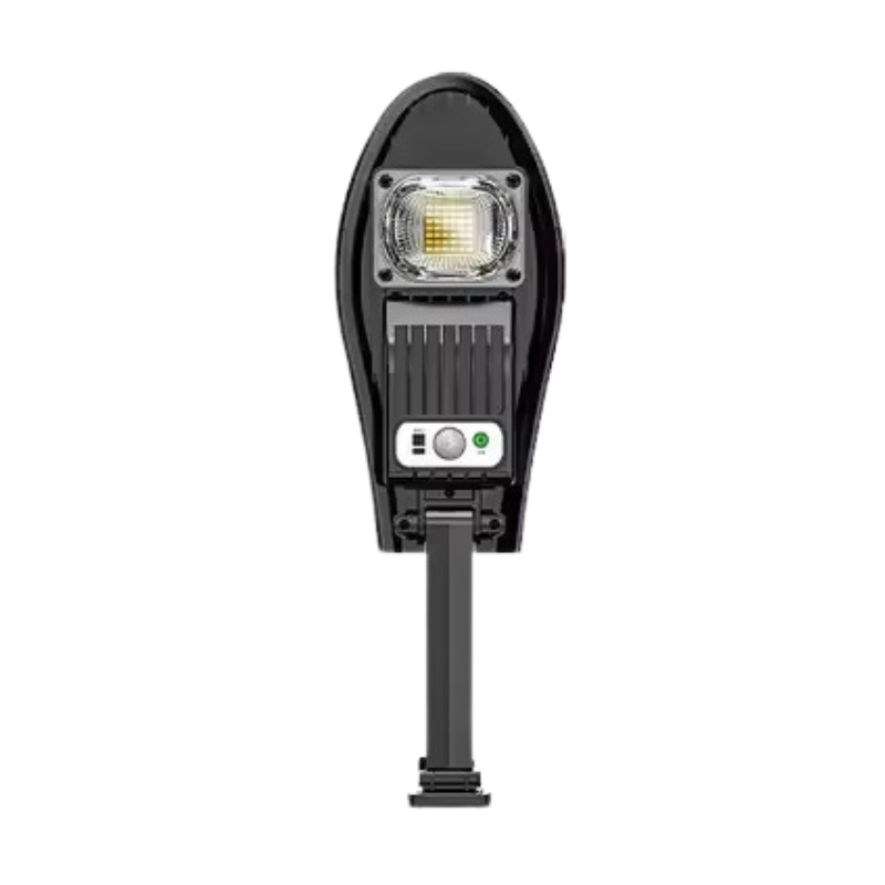 LED Solar Garden Light with Motion Sensor Remote